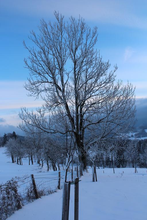 Hirmhof Villa Reinsberg Eksteriør bilde